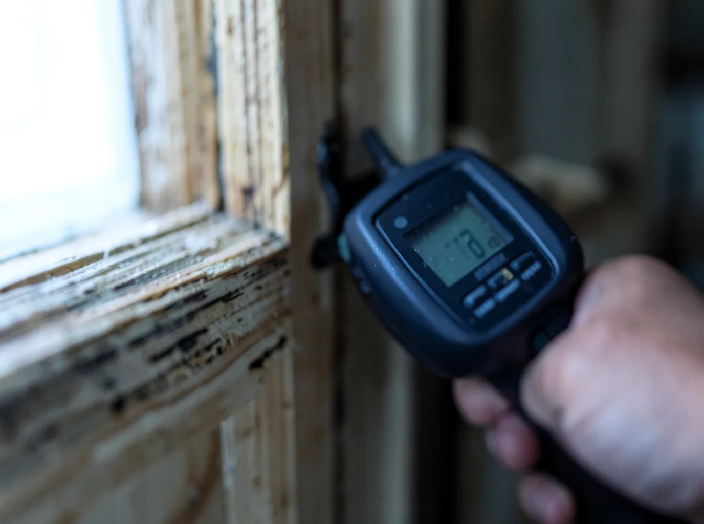 Ceiling Water Damage Repair in Crane, OR
